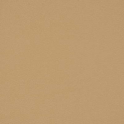 Charlotte Fabrics V222 Fawn