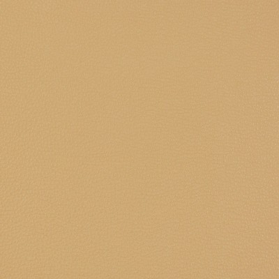 Charlotte Fabrics V229 Beach