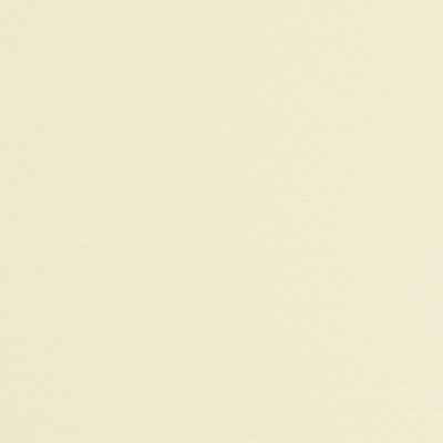 Charlotte Fabrics V230 Eggshell