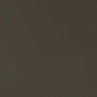 Charlotte Fabrics V332 Charcoal