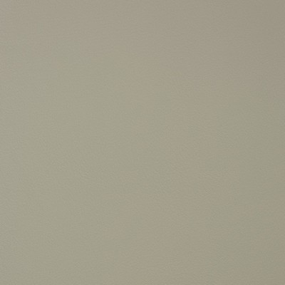 Charlotte Fabrics V336 Elephant