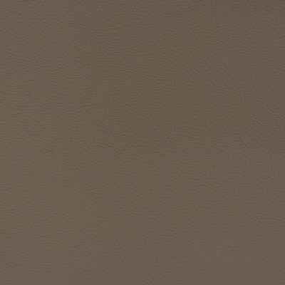 Charlotte Fabrics V338 Mink