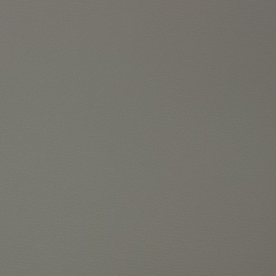 Charlotte Fabrics V343 Steel