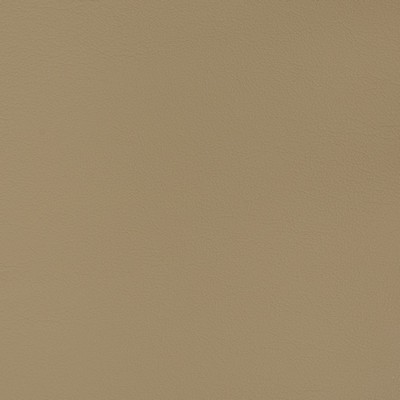 Charlotte Fabrics V344 Cappuccino