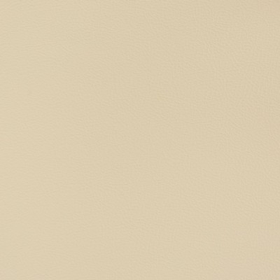 Charlotte Fabrics V346 Sand Dollar