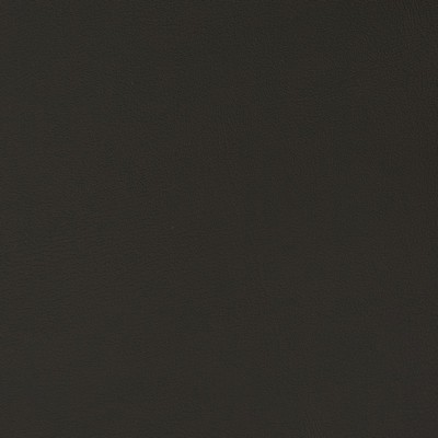 Charlotte Fabrics V348 Ink