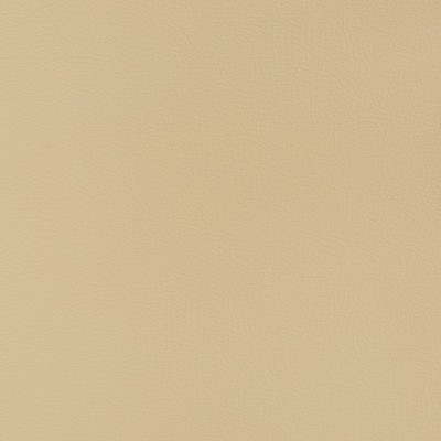 Charlotte Fabrics V349 Oat