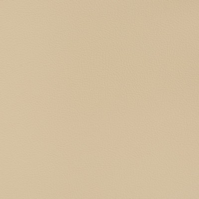 Charlotte Fabrics V353 Linen