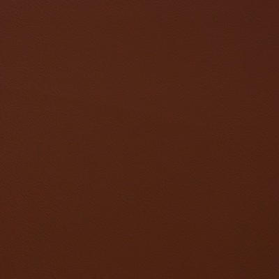 Charlotte Fabrics V357 Canyon