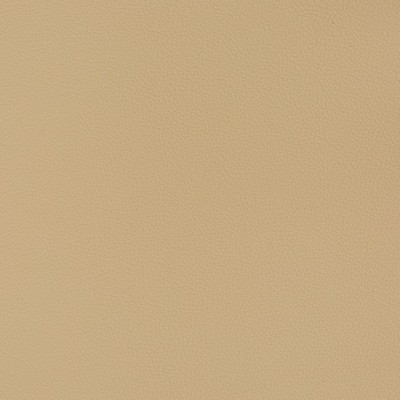 Charlotte Fabrics V363 Cashmere