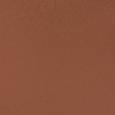 Charlotte Fabrics V366 Adobe