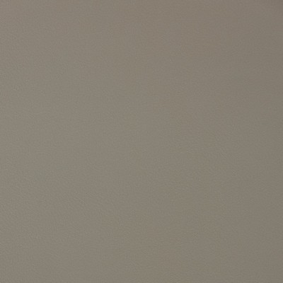 Charlotte Fabrics V367 Ash