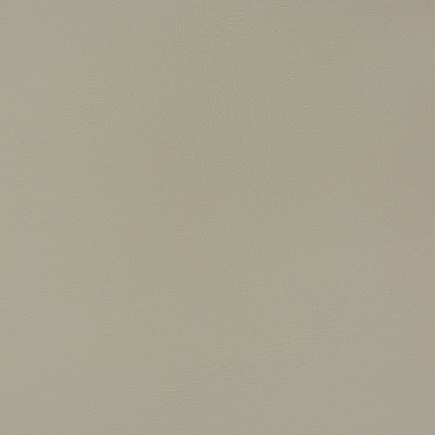 Charlotte Fabrics V371 Moonstone