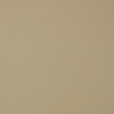 Charlotte Fabrics V372 Bisque