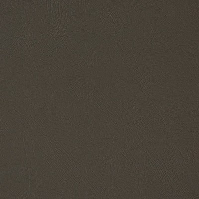 Charlotte Fabrics V373 Iron