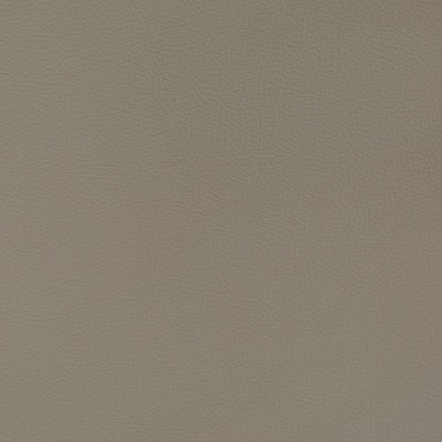 Charlotte Fabrics V376 Mineral