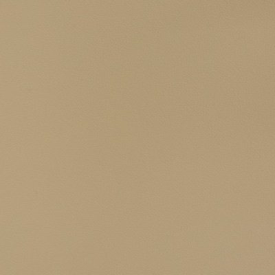 Charlotte Fabrics V379 Beige