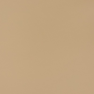 Charlotte Fabrics V382 Latte