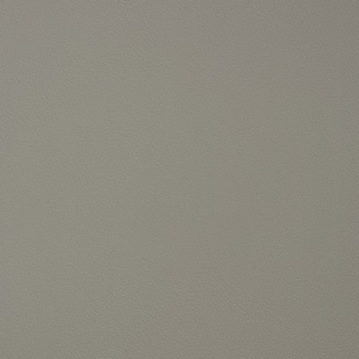 Charlotte Fabrics V386 Pewter