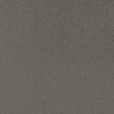 Charlotte Fabrics V388 Titanium