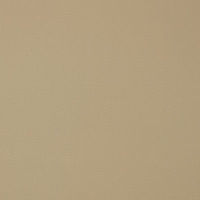 Charlotte Fabrics V389 Natural