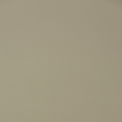 Charlotte Fabrics V391 Putty