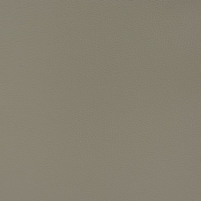 Charlotte Fabrics V392 Fossil