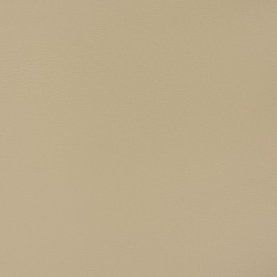 Charlotte Fabrics V393 Taupe