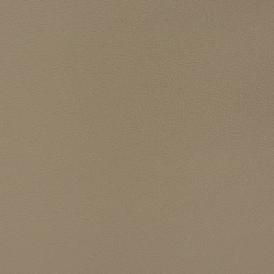 Charlotte Fabrics V394 Greige