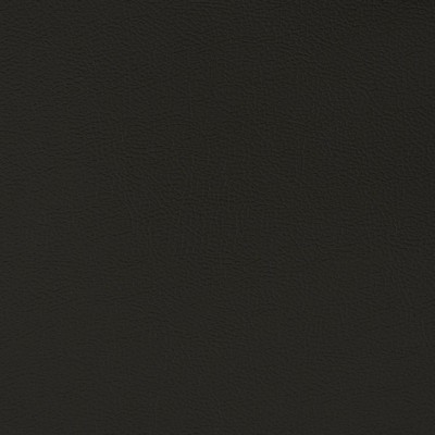 Charlotte Fabrics V395 Ebony