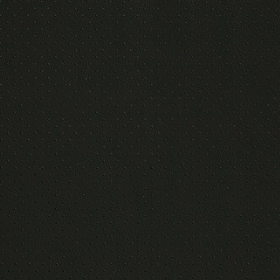 Charlotte Fabrics V406 Black Perforated