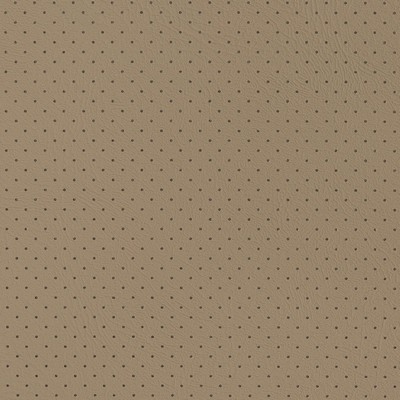 Charlotte Fabrics V407 Fawn Perforated