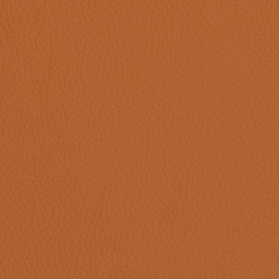 Charlotte Fabrics V427 Burnt Sienna