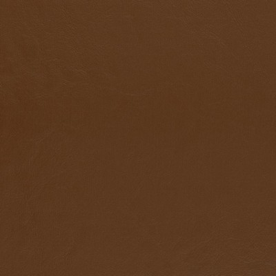 Charlotte Fabrics V434 Pecan