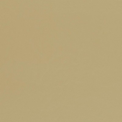 Charlotte Fabrics V444 Beach