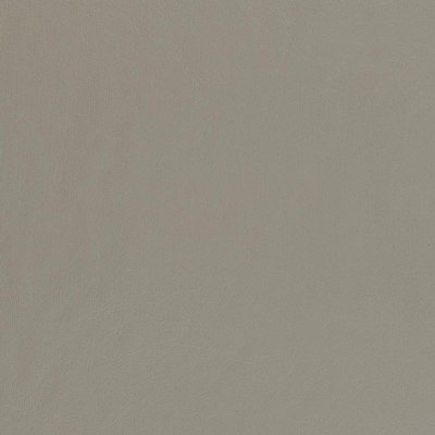 Charlotte Fabrics V449 Pewter