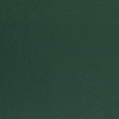 Charlotte Fabrics V457 Spruce