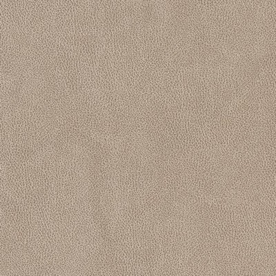 Charlotte Fabrics V500 Sandstone