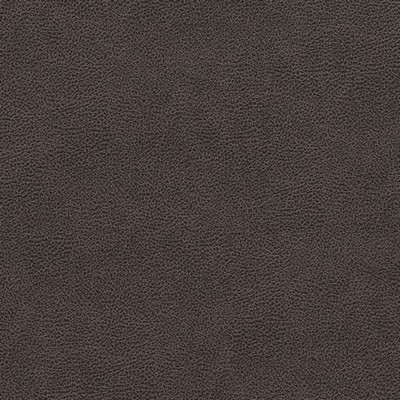 Charlotte Fabrics V501 Charcoal