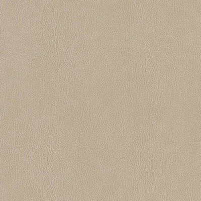 Charlotte Fabrics V506 Linen