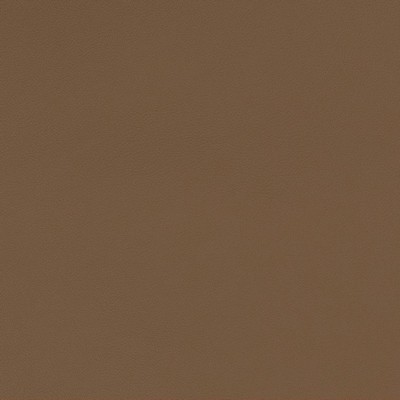 Charlotte Fabrics V551 Latte