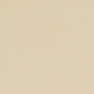 Charlotte Fabrics V563 Cream