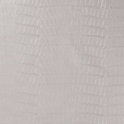 Charlotte Fabrics V592 Chrome