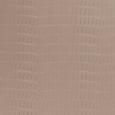 Charlotte Fabrics V593 Mousse