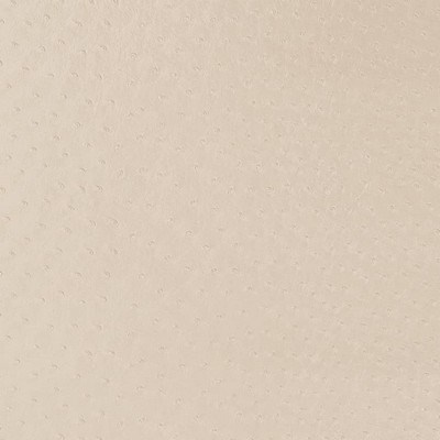 Charlotte Fabrics V596 Parchment