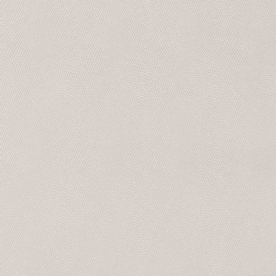 Charlotte Fabrics V609 Alabaster