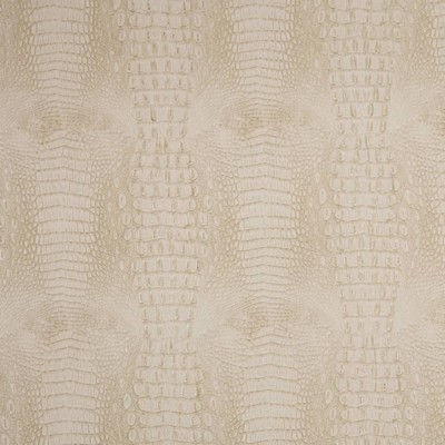 Charlotte Fabrics V611 Stone