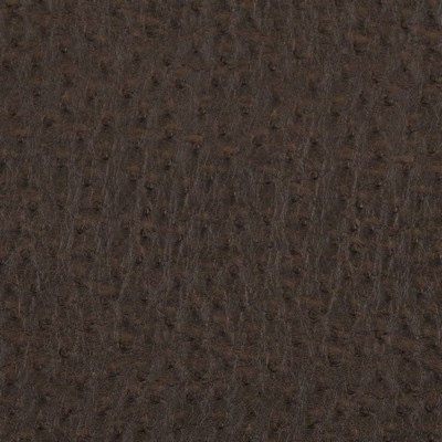 Charlotte Fabrics V619 Bark