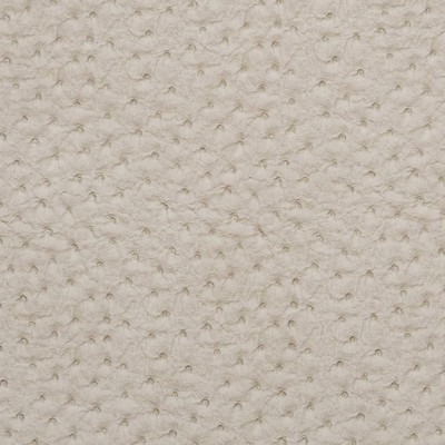 Charlotte Fabrics V621 Fog