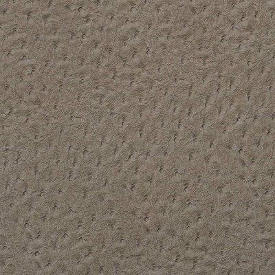 Charlotte Fabrics V622 Pewter